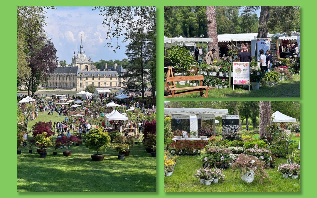 Valkplant en Proven Winners® op de Journées des Plantes in Chantilly, Frankrijk